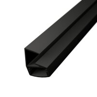 LED Glaskantenprofil GP1X 2m Schwarz